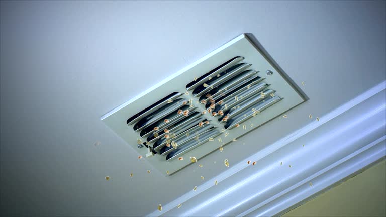 Best Home Air Vent Cleaning  in Greenfield, IL